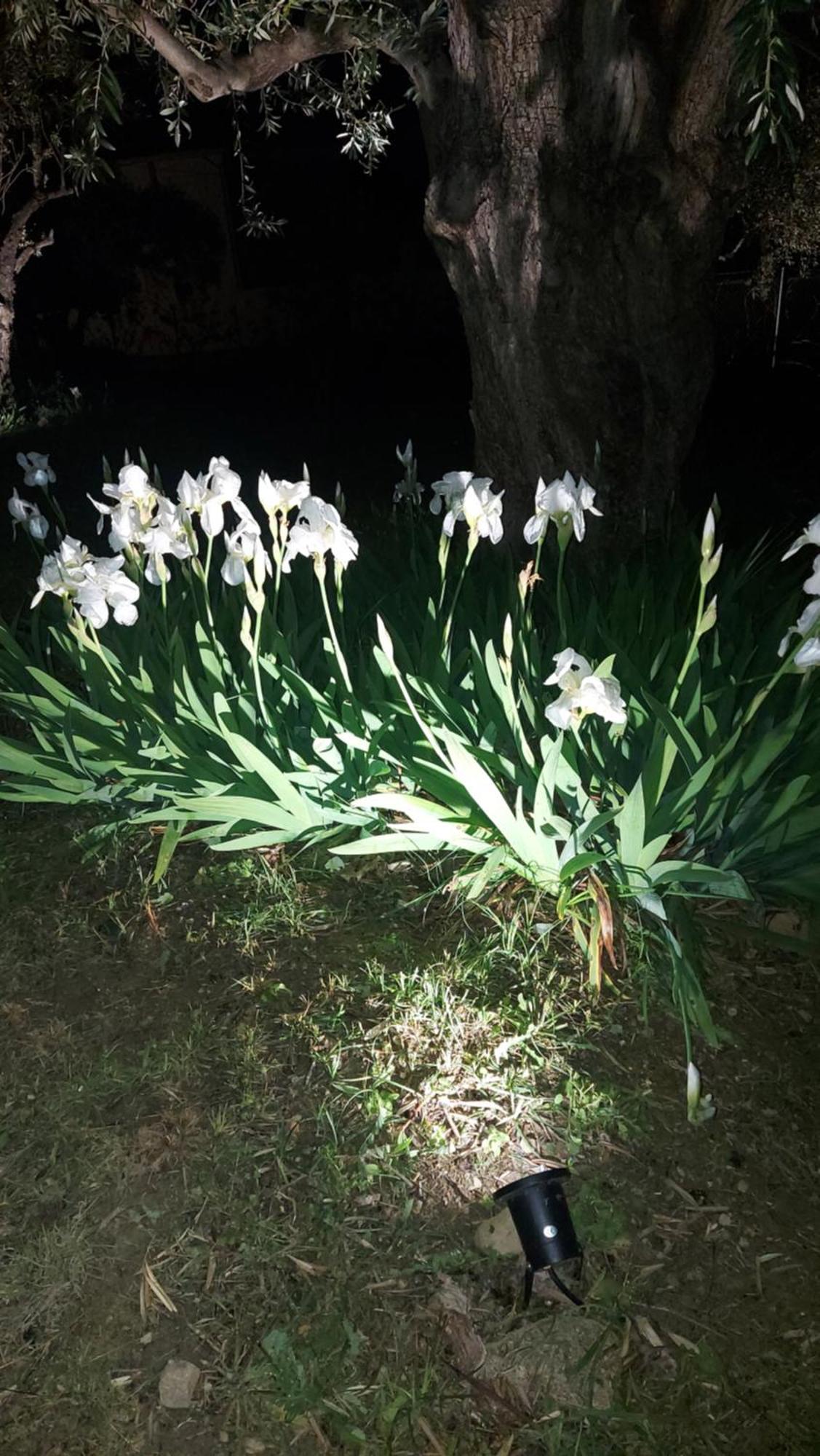 Βίλλα Φανούλα Villa Fanoula Khórto Bagian luar foto